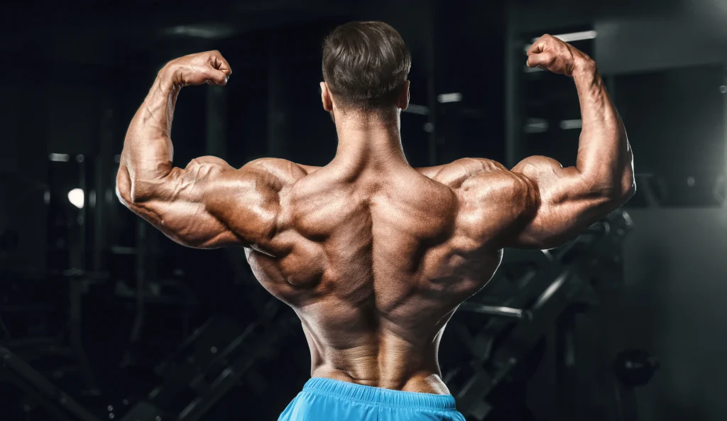 steroidsbooster